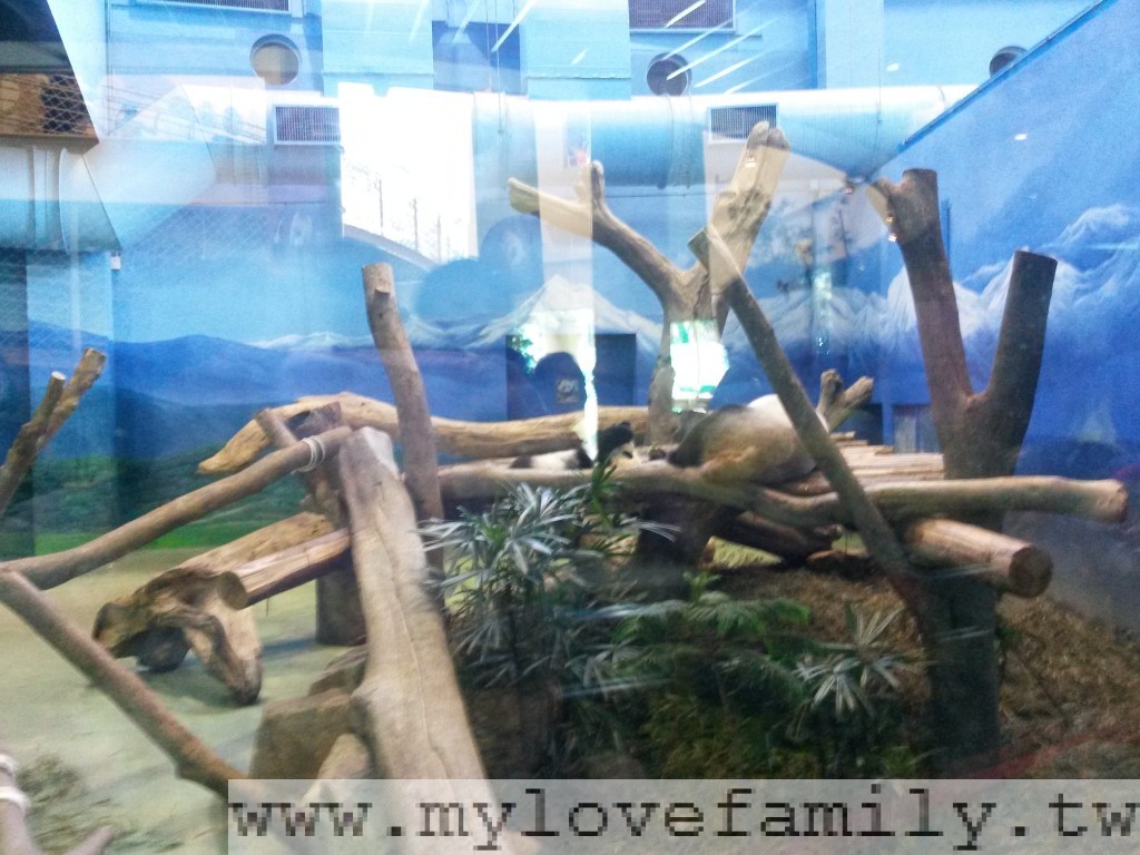 2014-01-23 15.14.54