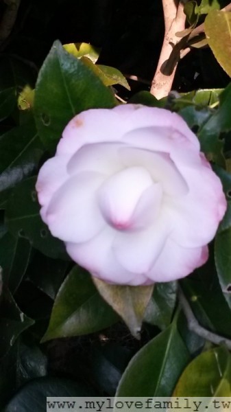 2014-04-13 06.11.36
