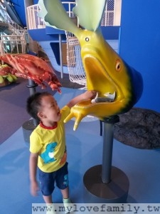 2014-07-06 11.24.55
