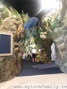 2014-07-06 11.46.59
