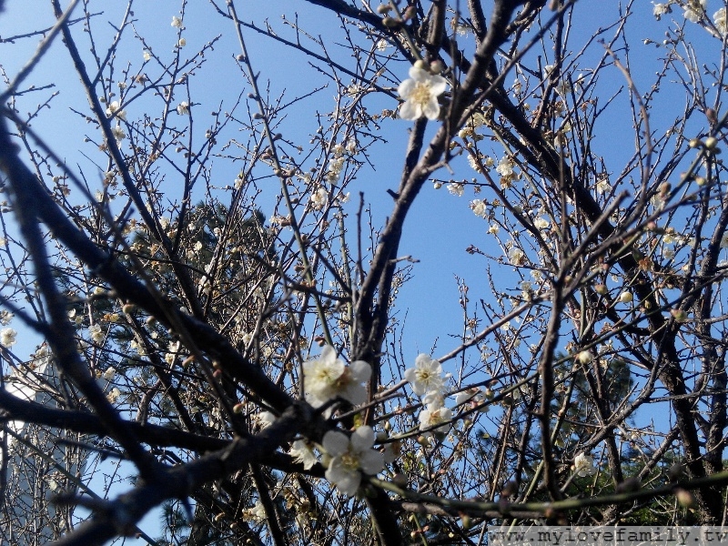 2015-01-01 15