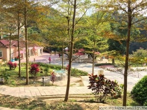IMG_7193