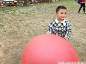 IMG_8007