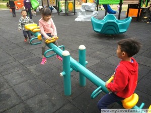 IMG_8010