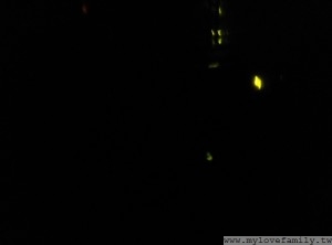 2015-04-24 19.55.11