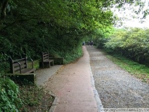 IMG_8750