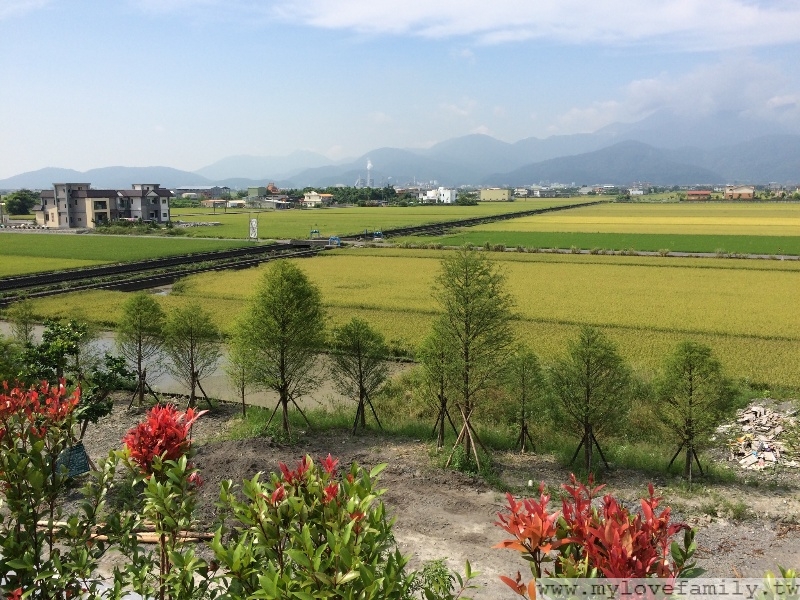 日光綠築