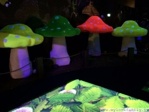 IMG_0849