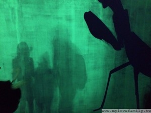 IMG_0855