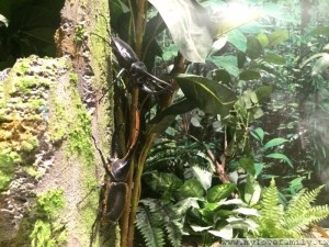 IMG_0891
