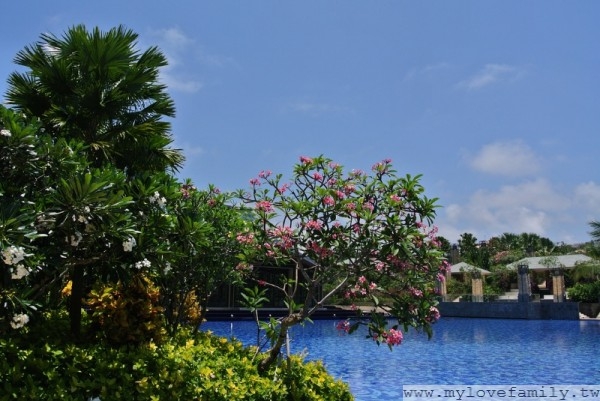 The Mulia