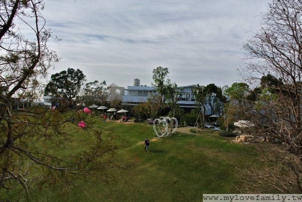 DSC_3312