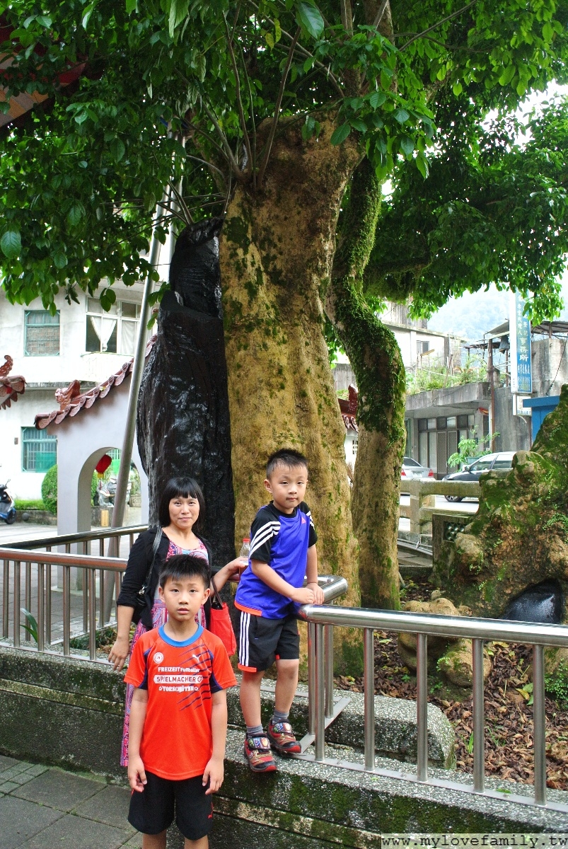 DSC_7197