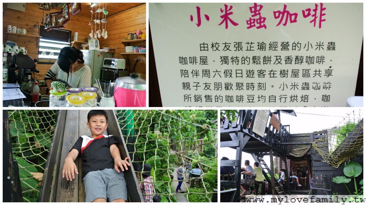 小米蟲
