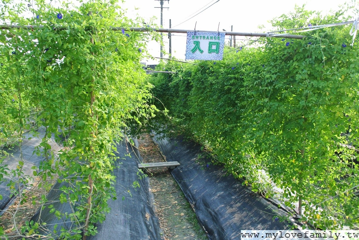 水筠間民宿
