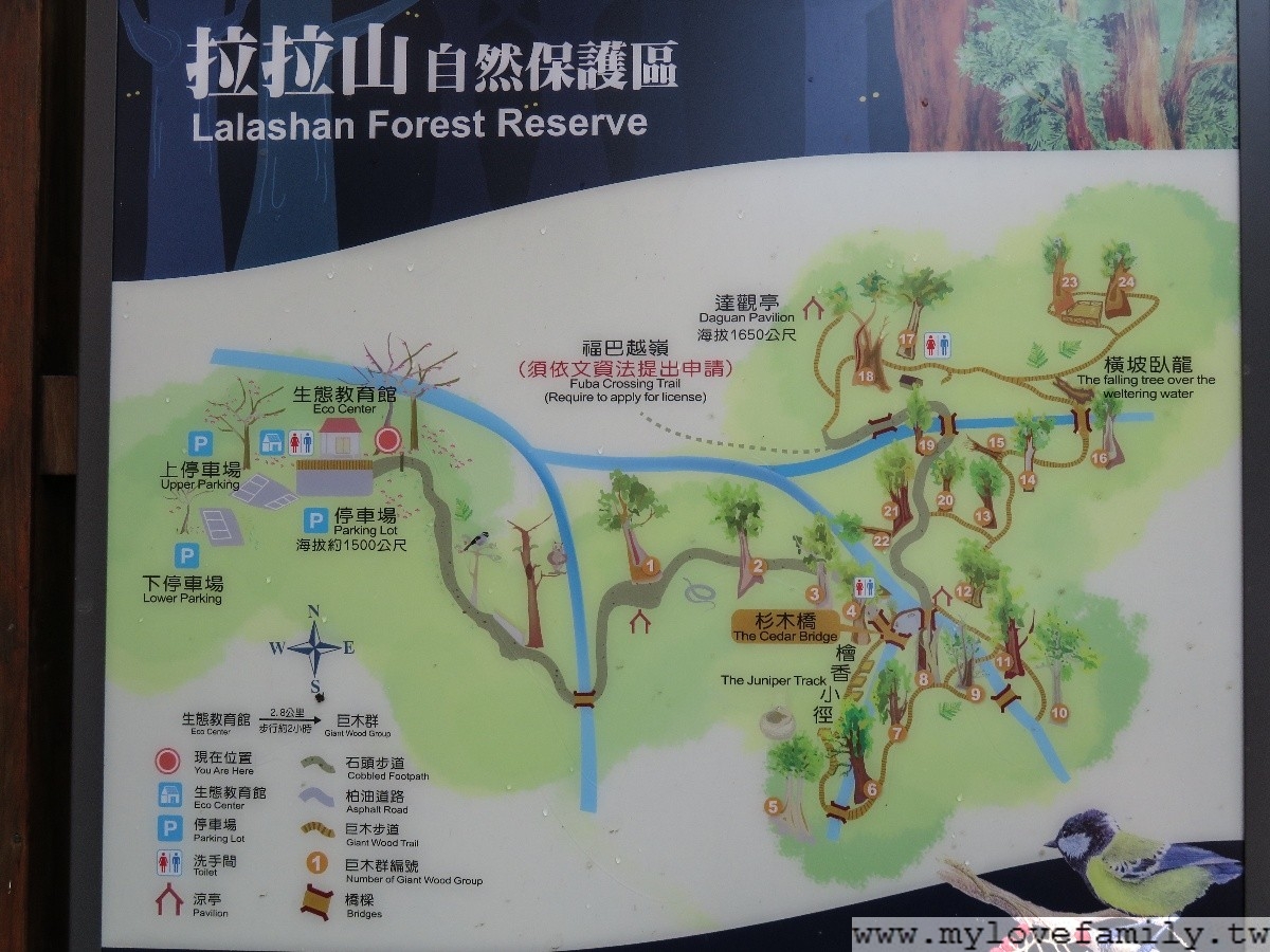 拉拉山神木群步道