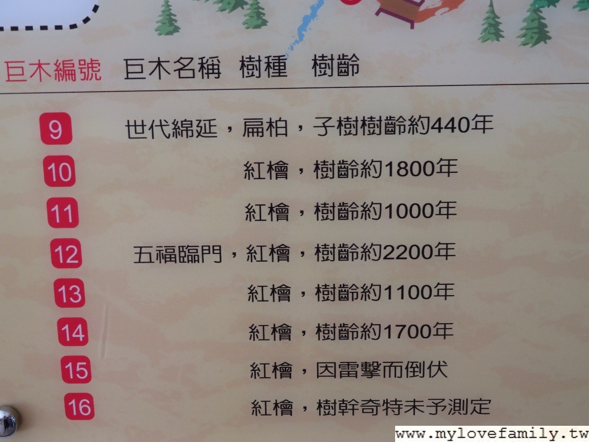 拉拉山神木群步道