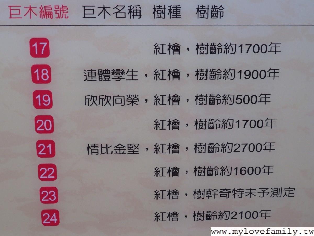 拉拉山神木群步道