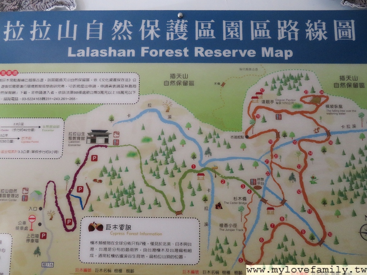 拉拉山神木群步道