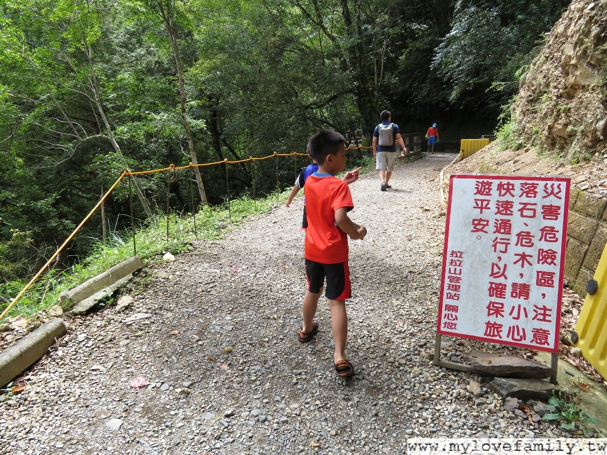 拉拉山神木群步道