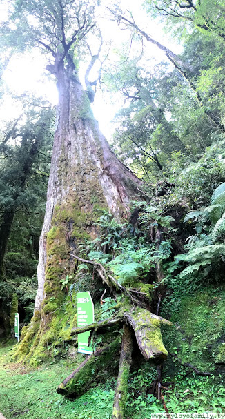 拉拉山