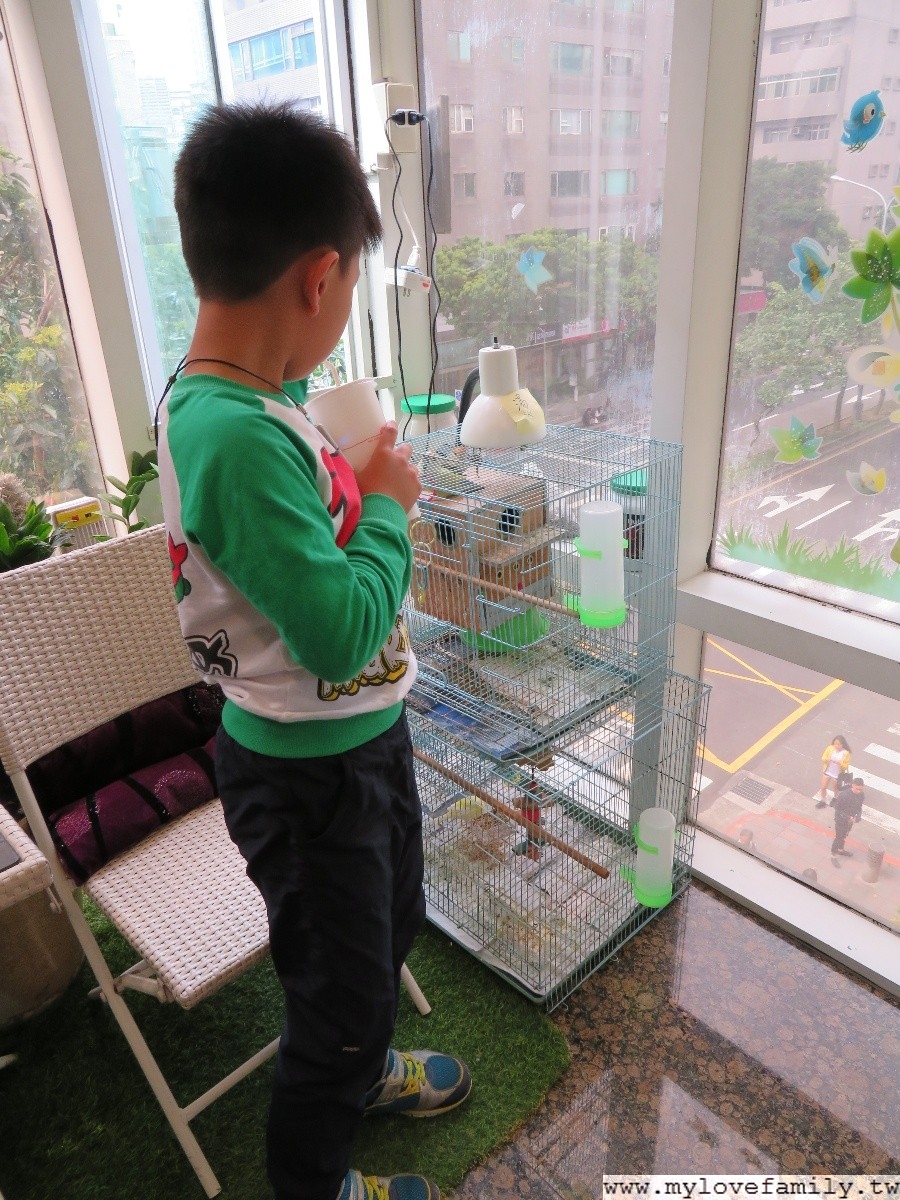 乒乓島樂園