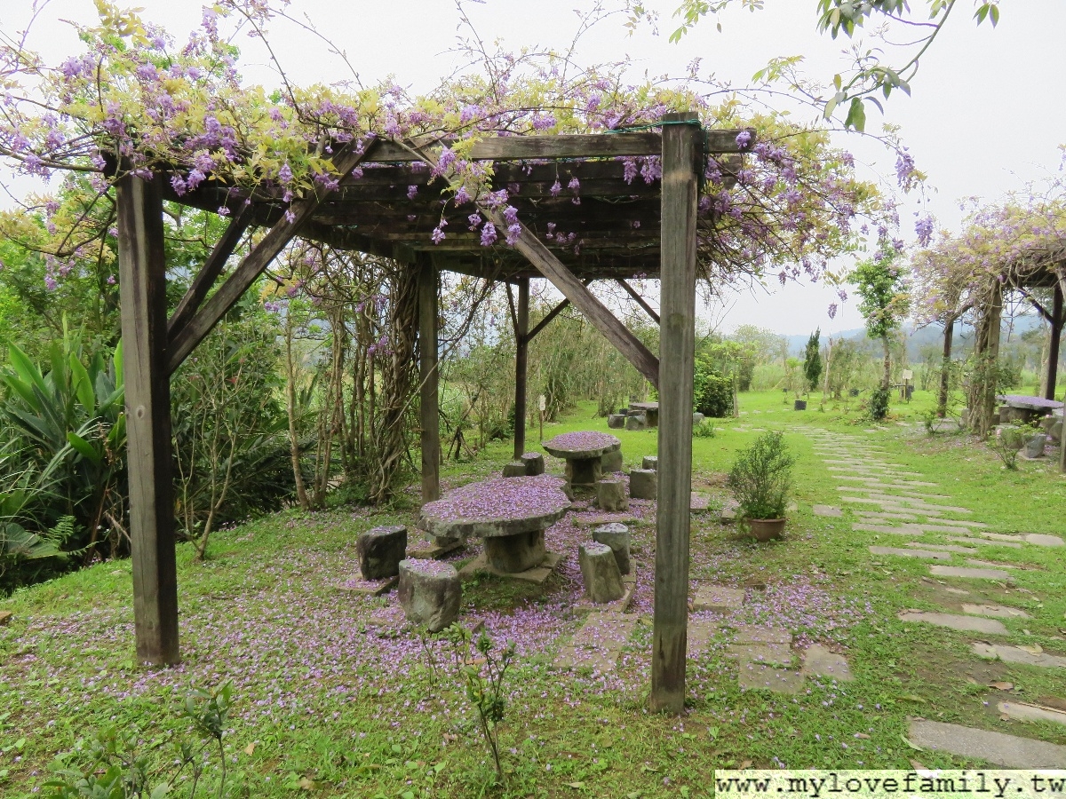 茶鄉桂花農園