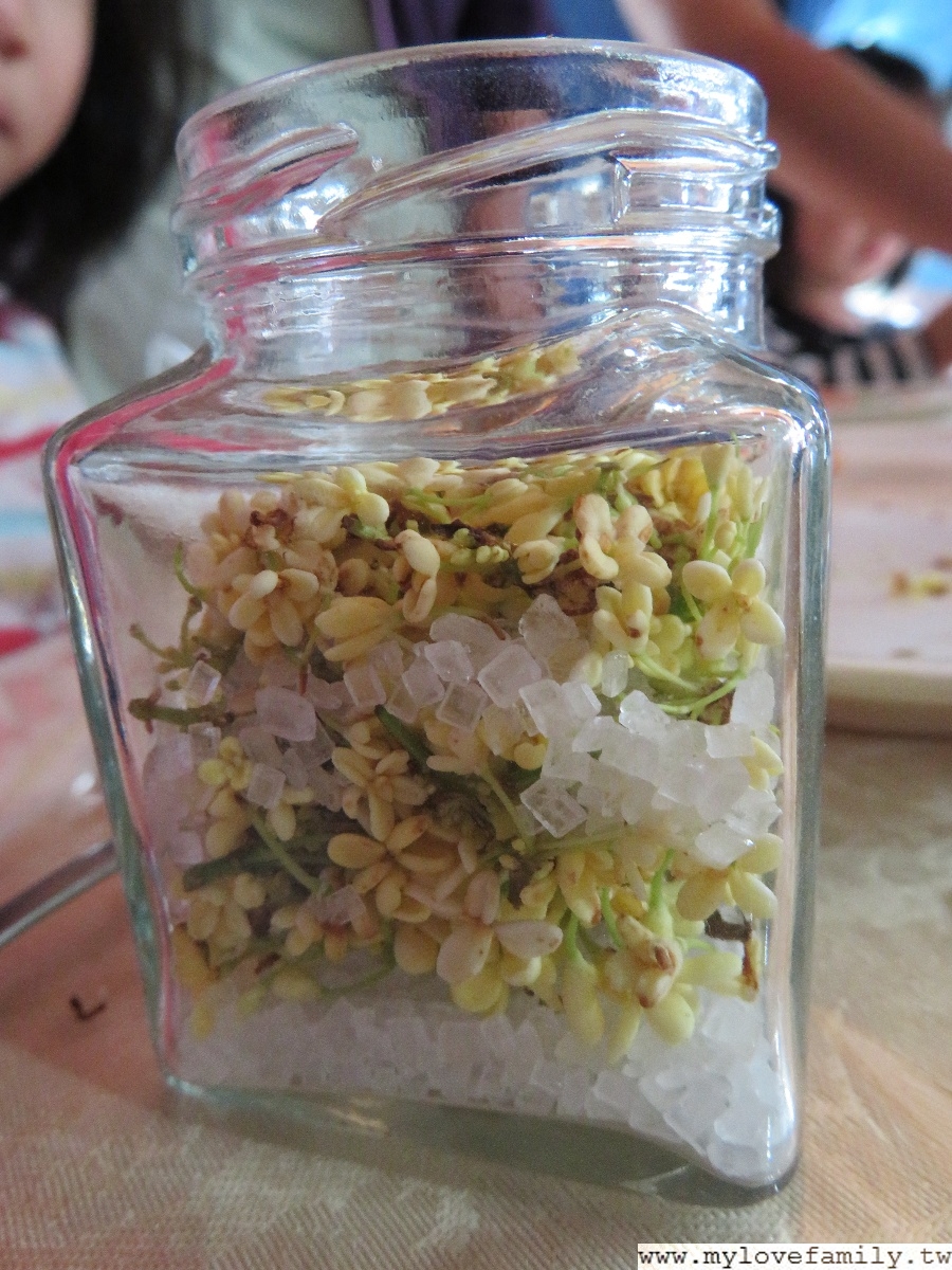 茶鄉桂花農園