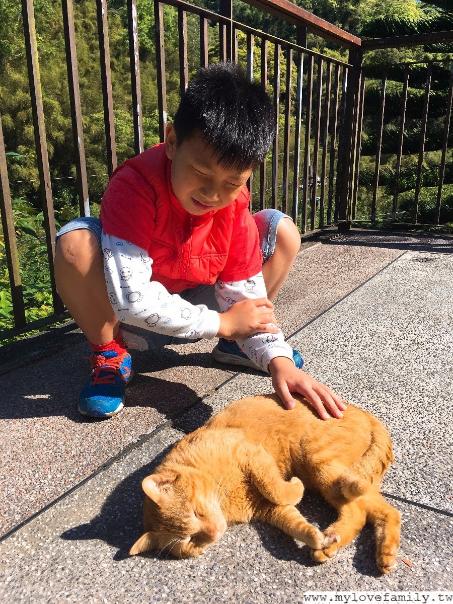 百吉星墅莊園