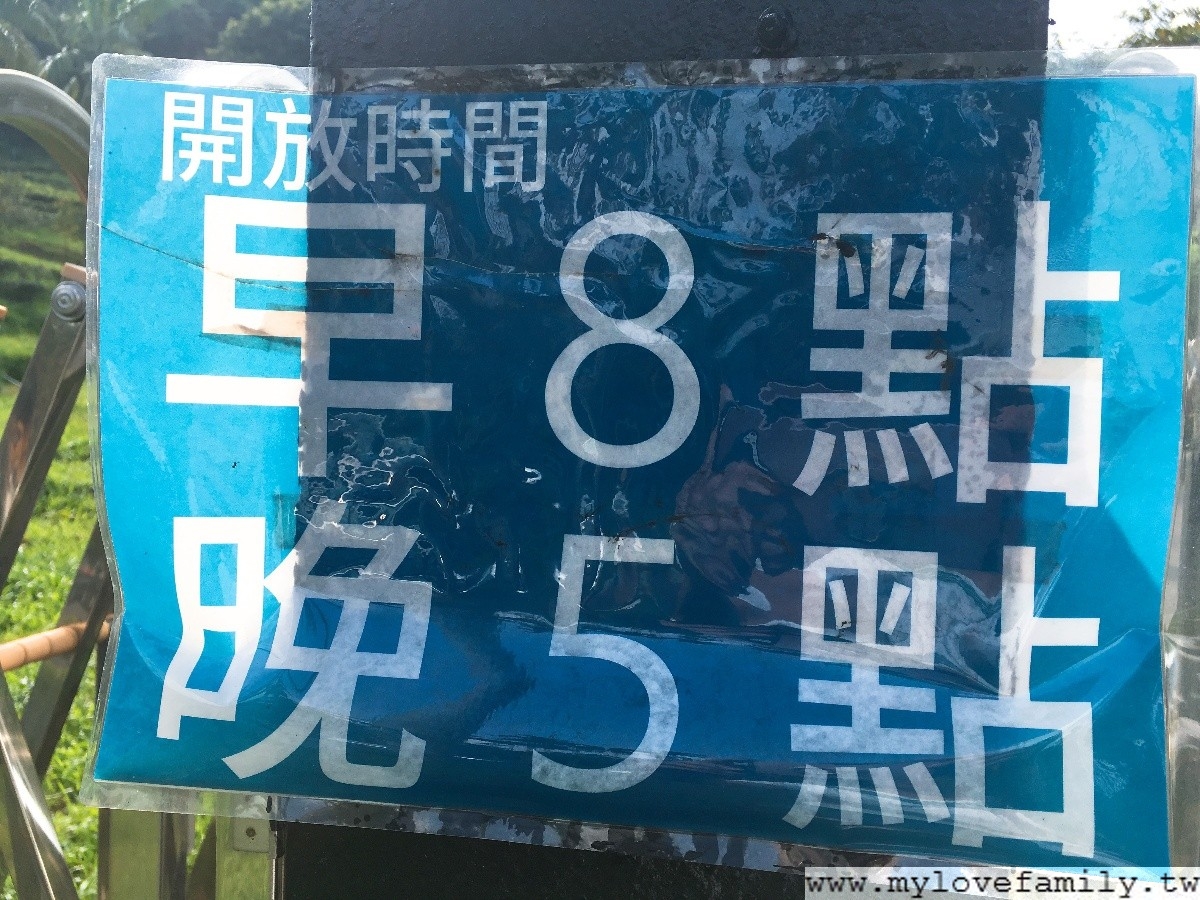日月老茶廠