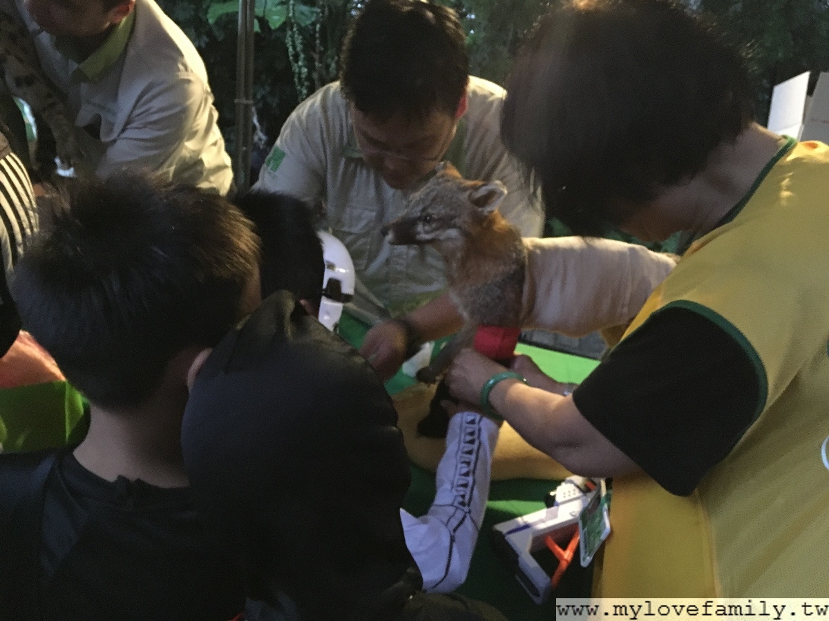 Zoolloween之狂野吶喊萬聖走秀Party