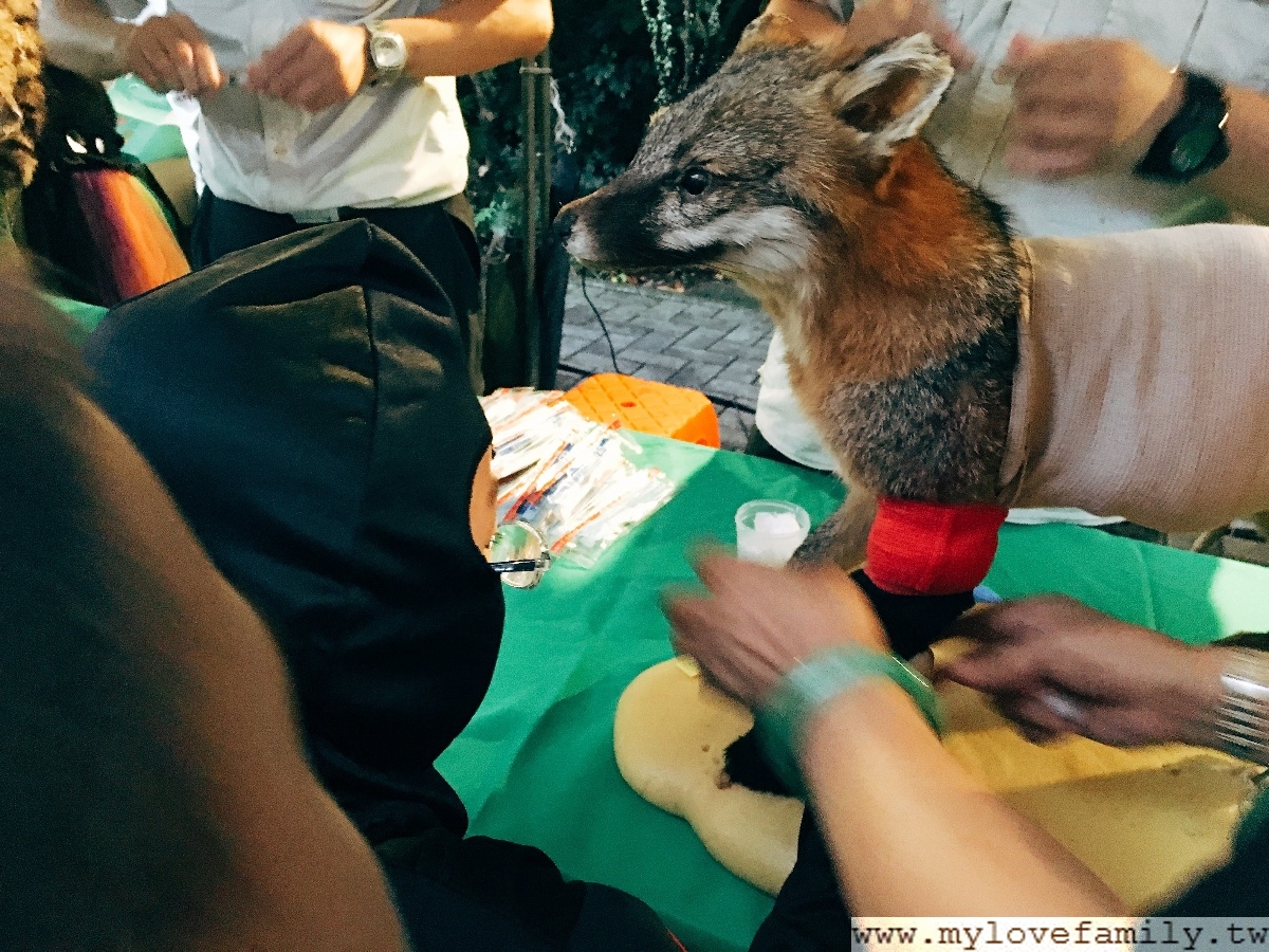 Zoo