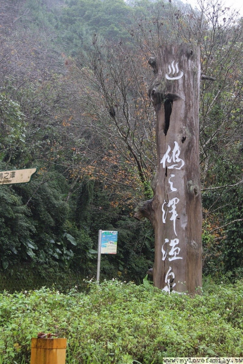 鳩之澤