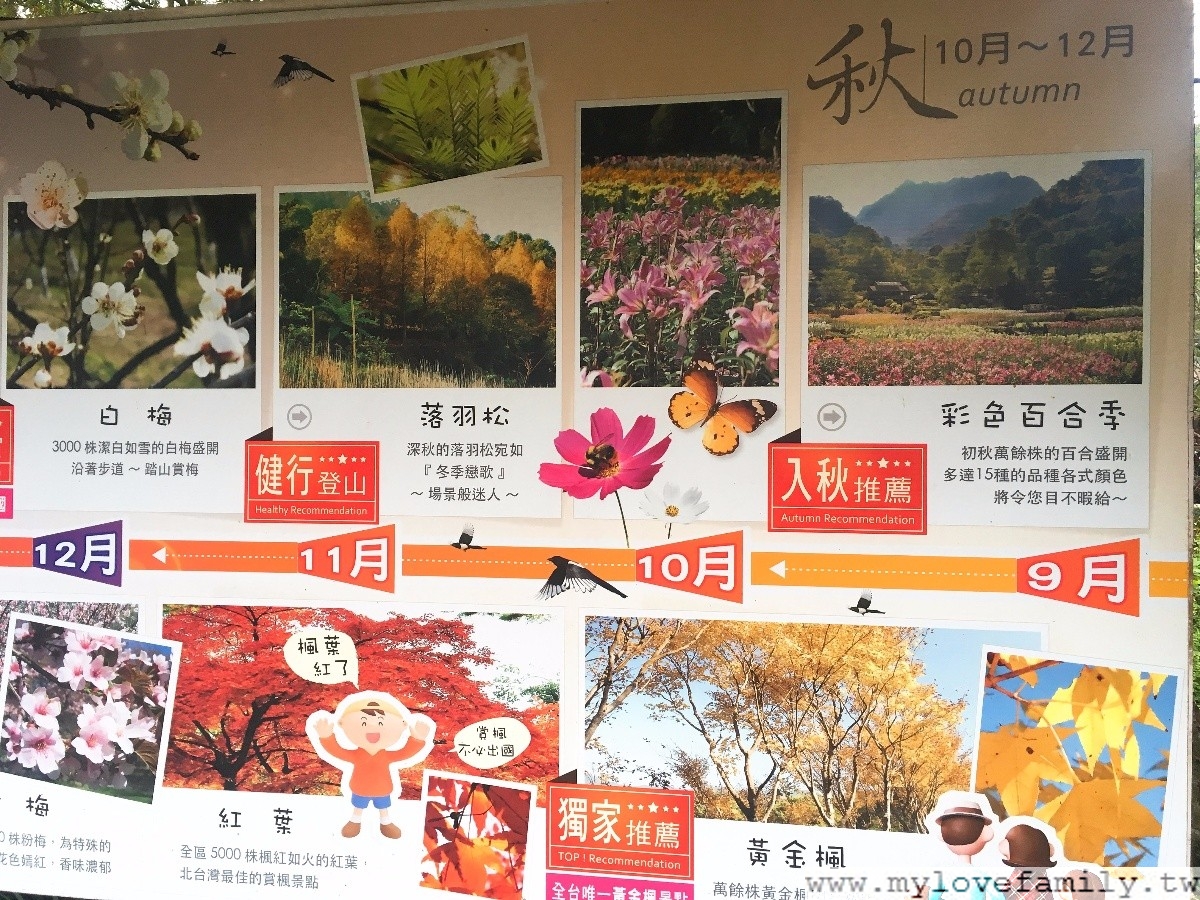 桃園仙谷