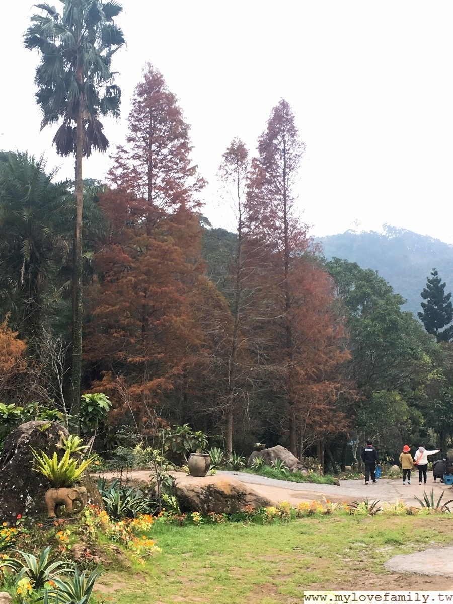 桃園仙谷