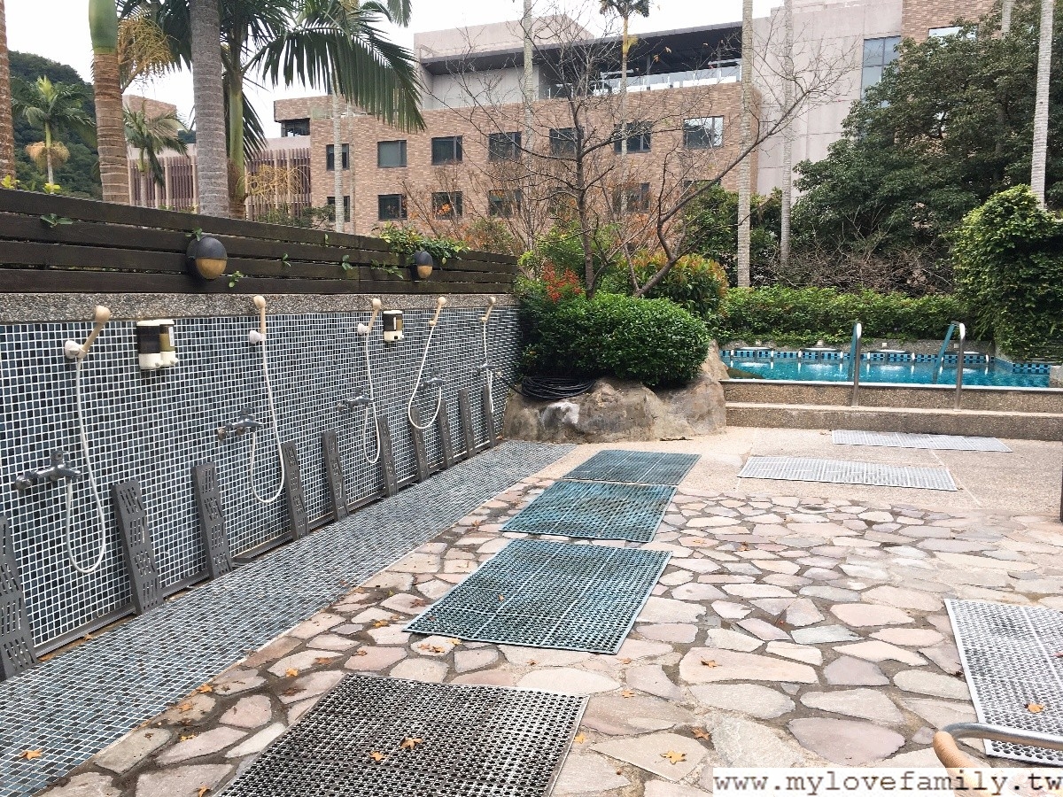 大板根
