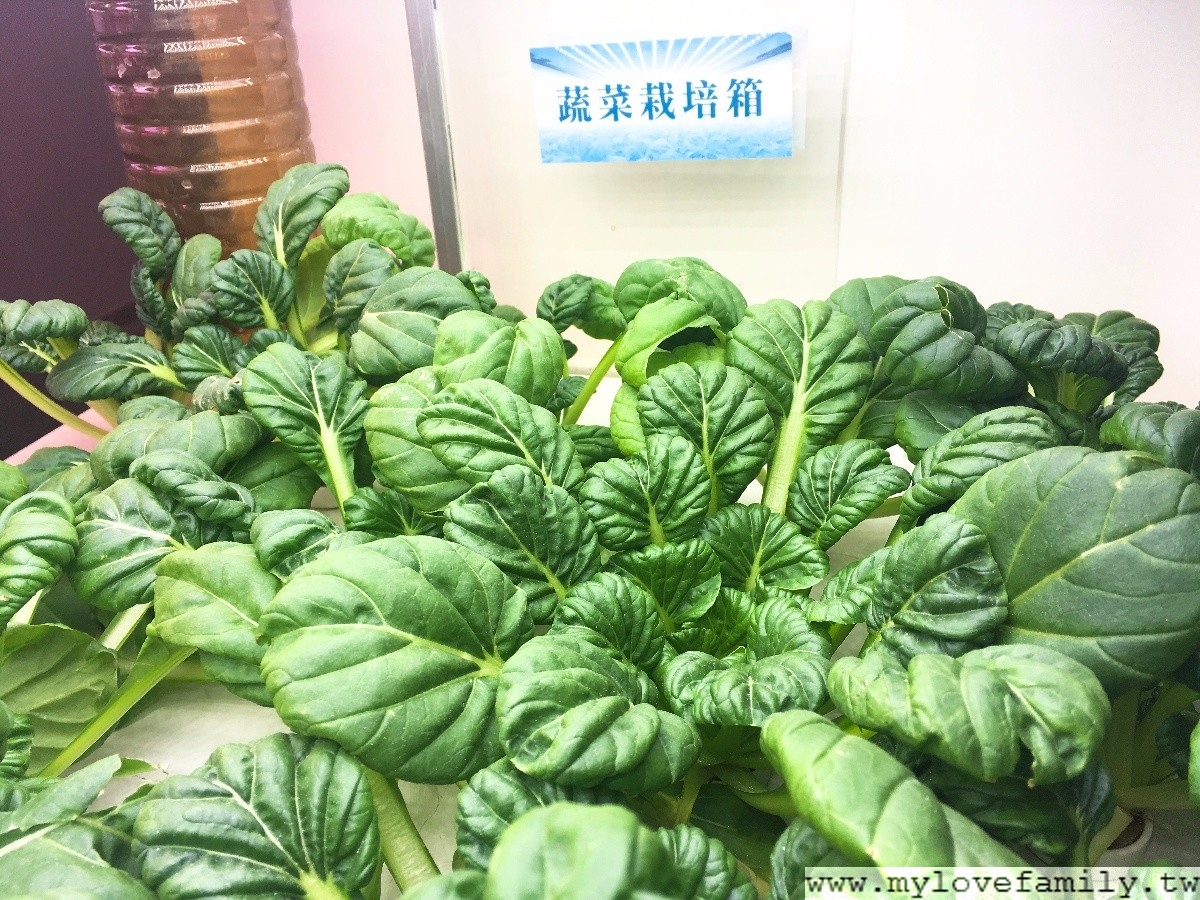 源鮮智慧農場