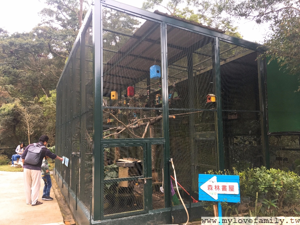 森林鳥花園