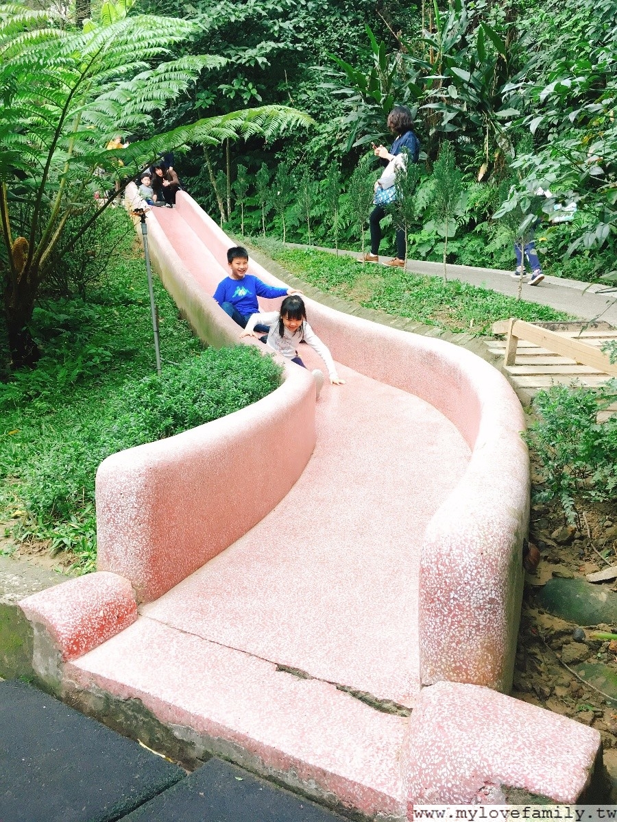 森林鳥花園