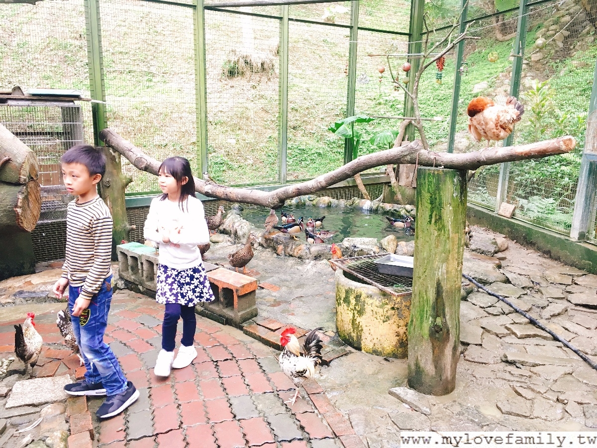 森林鳥花園