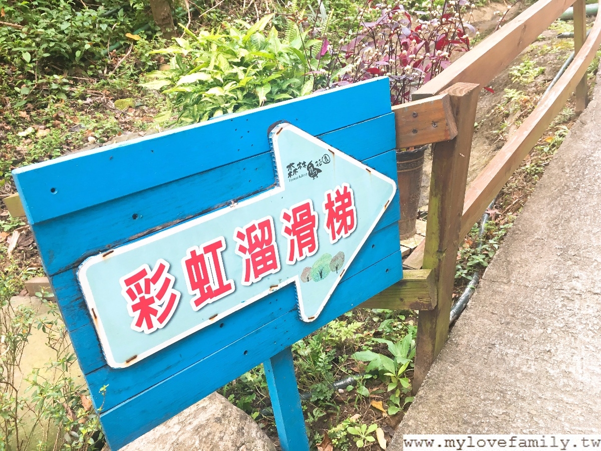 森林鳥花園