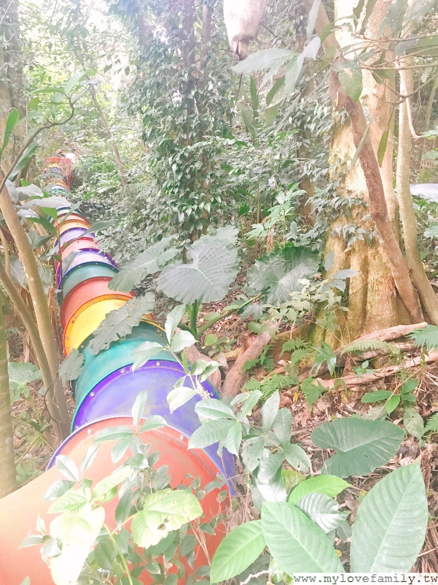 森林鳥花園