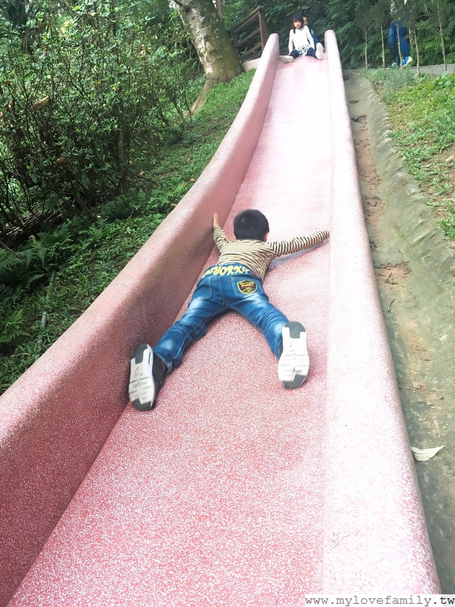 森林鳥花園