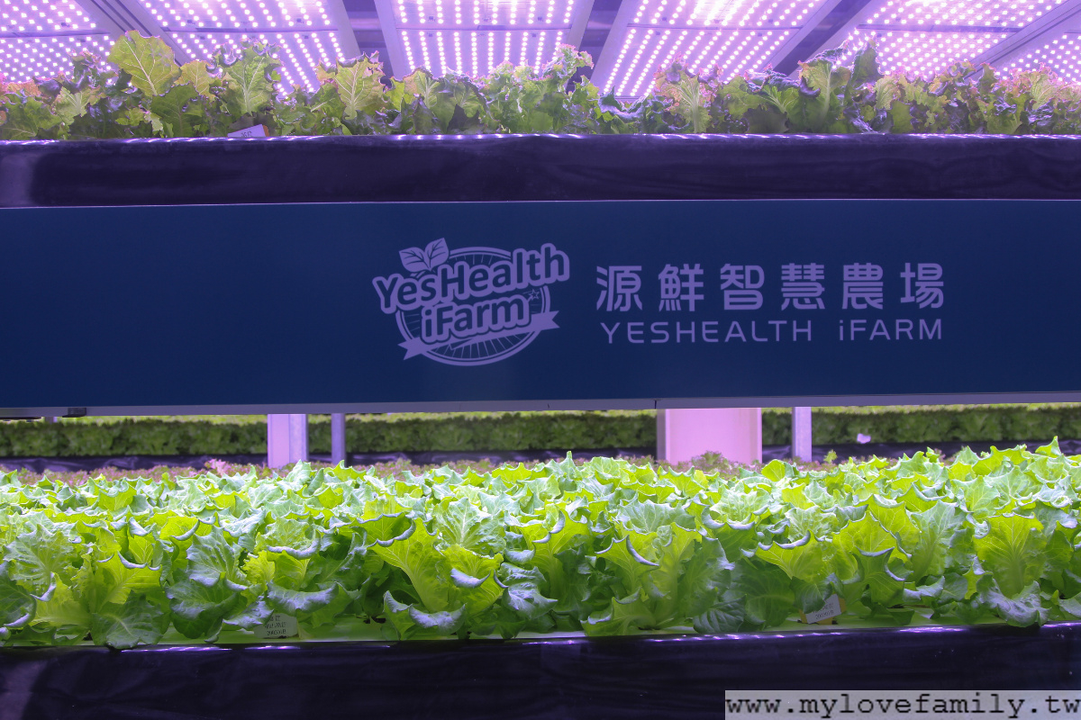源鮮智慧農場