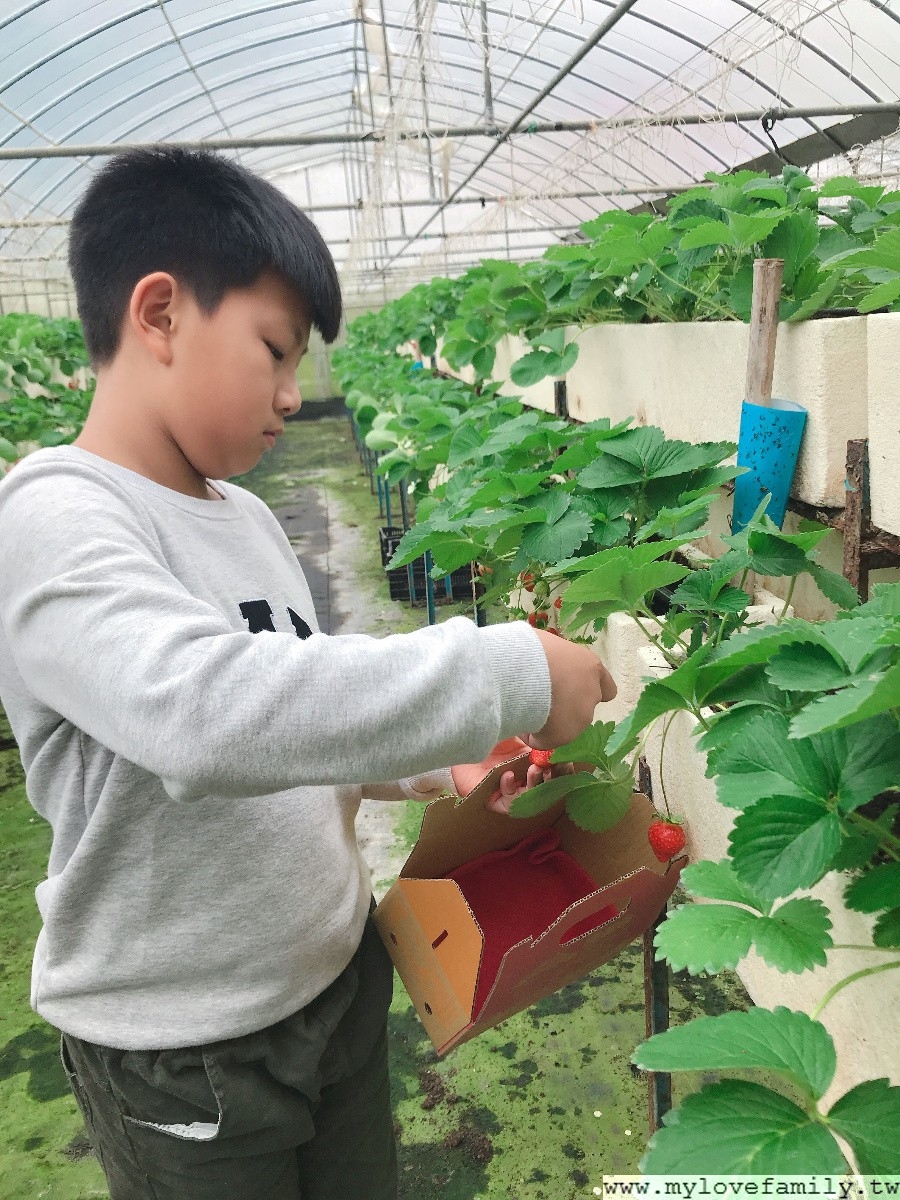 淼焱苗有機農場