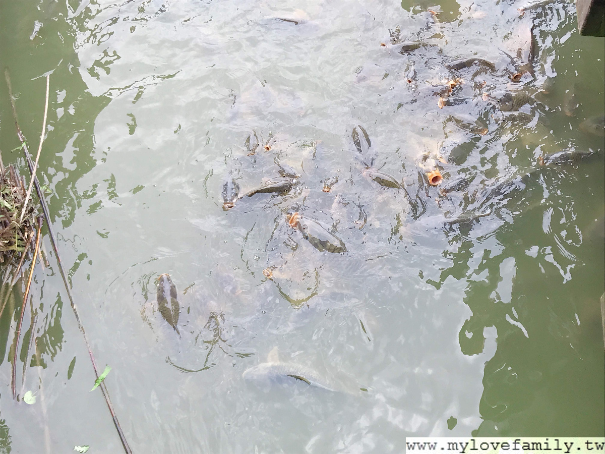樟湖步道