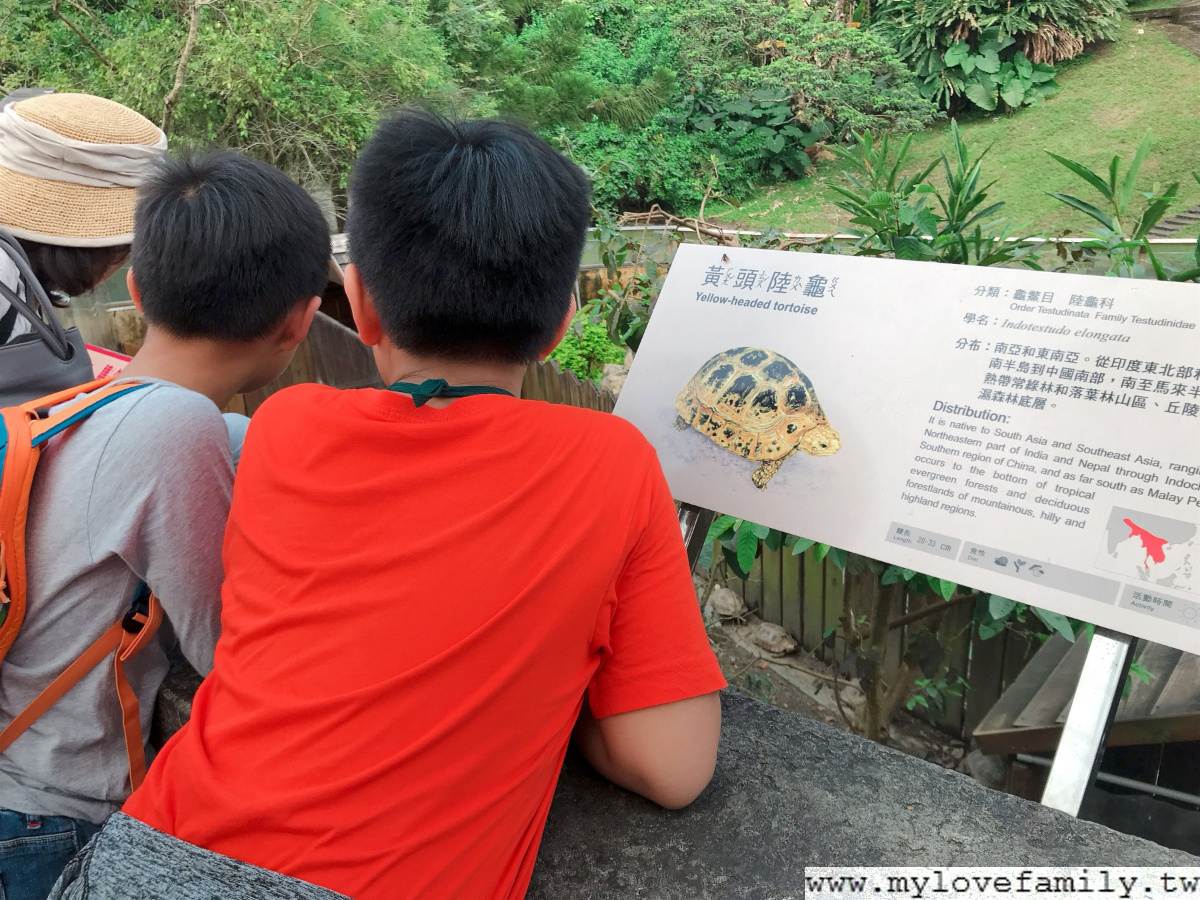 台北市立動物園