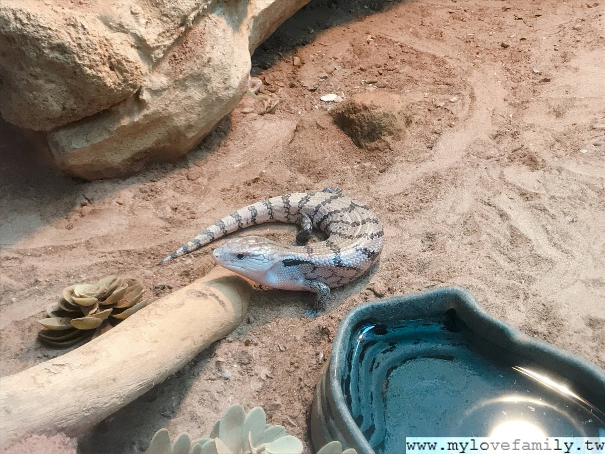 台北市立動物園