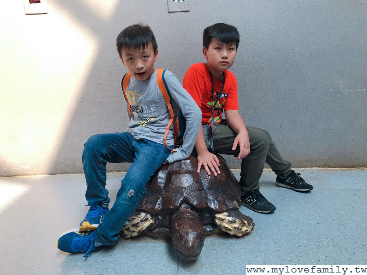 台北市立動物園