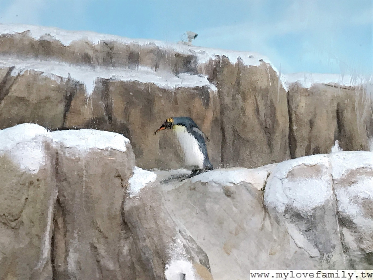 台北市立動物園